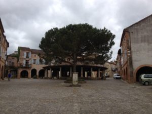 Auvillar, Markplatz mit steinerner Rotunde und hölzerner Kiefer (oder muss man hier schon Pinie sagen?)