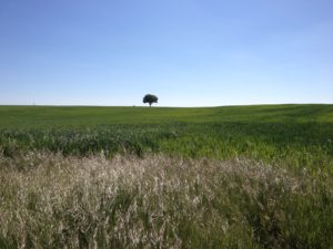 Geschichtete Landschaft